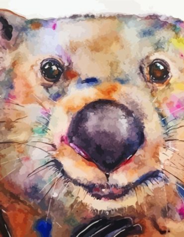Colorful Wombat Paint By Numbers