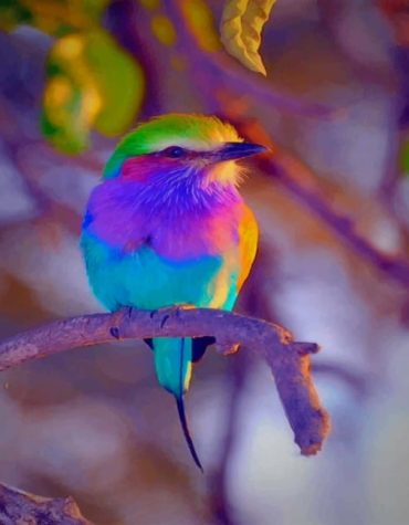 Rainbow Bird Paint By Numbers