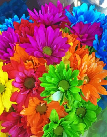 Colorful Daisy Blooms Paint By Numbers