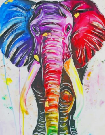 Rainbow Elephant Art Paint By Numbers