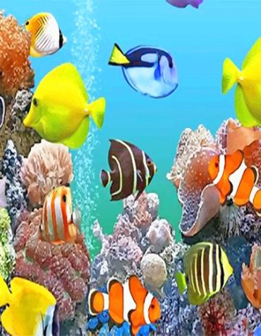 Colorful Deep Sea Fish Paint By Numbers