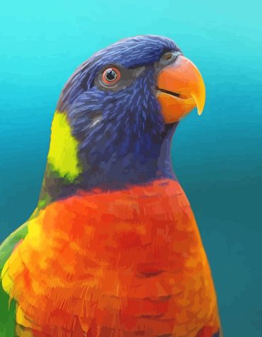 Colorful Parrot Picture Paint By Numbers