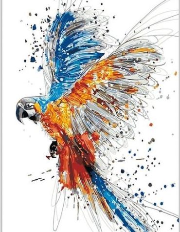 Colorful Parrot Splash Paint By Numbers
