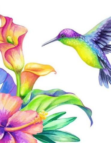 Colorful Hummingbird Flowers Paint By Numbers