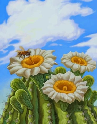 Common Daisy Garden Paint By Numbers