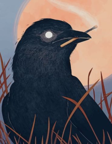 Common Raven Wildlife Paint By Numbers