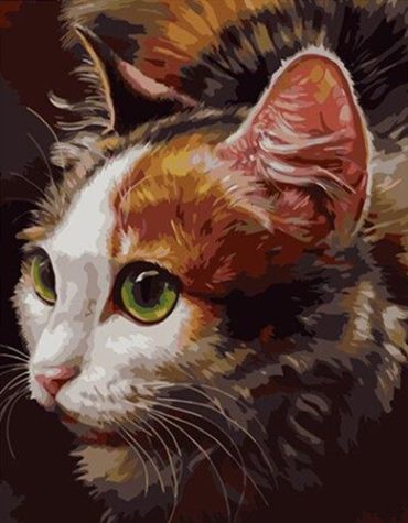 sassy cat art paint by numbers