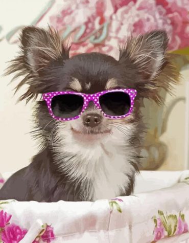 Chihuahua Puppy Style Paint By Numbers