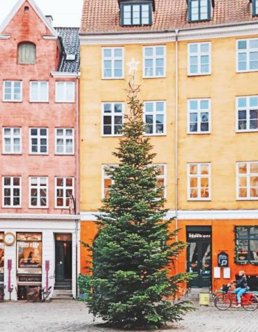 Copenhagen Holiday Scene Paint By Numbers