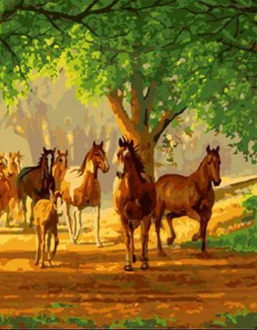 Country Herd of Foals Paint By Numbers