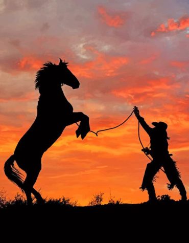 Horseman Cowboy Silhouette Paint By Numbers