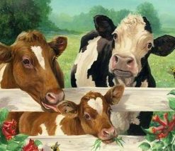 Cows Meadows Paint By Numbers