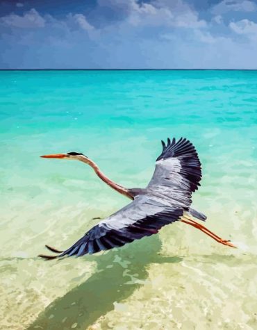 Graceful Crane in Water Paint By Numbers