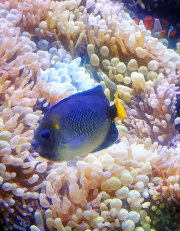 Cream Angelfish and Coral Scene Paint By Numbers