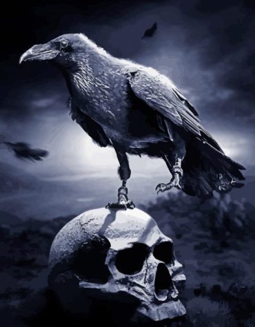 Crow and Skull in Black and White Paint By Numbers