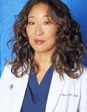Cristina Yang Grey's Anatomy Paint By Numbers