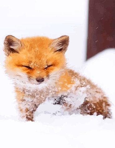 Cute Baby Fox in Snow Paint By Numbers