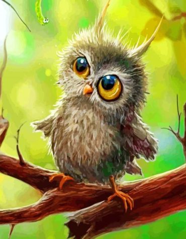 Cute Baby Owl Artwork Paint By Numbers