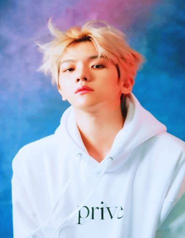 Baekhyun EXO Singer Paint By Numbers