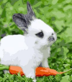 Cute Bunny Rabbits Paint By Numbers