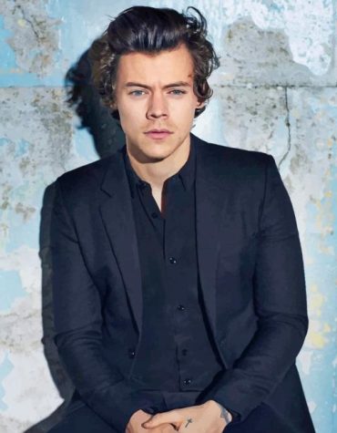 Cute Harry Styles Art Paint By Numbers