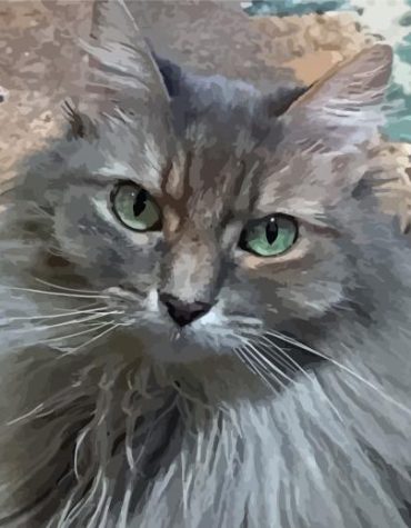 Cute Grey Cat Animal Paint By Numbers