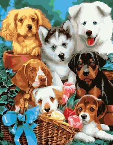 Cute Dog Paint By Numbers