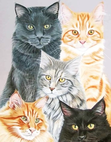 Cute Cat Art Paint By Numbers