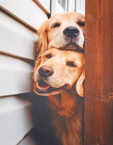 Cute Puppy Pals Paint By Numbers