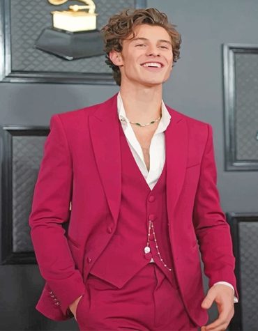 Cute Shawn Mendes Celebrity Paint By Numbers