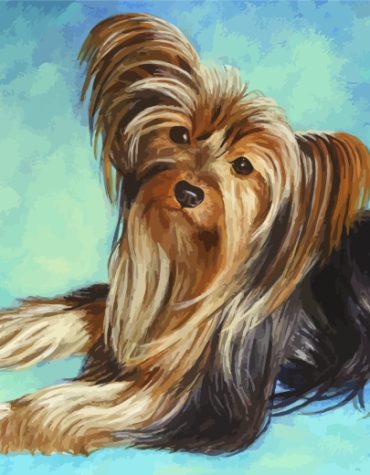 Yorkshire Terrier Puppy Paint By Numbers