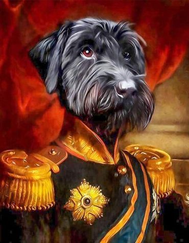 Charming Schnauzer Dog Paint By Numbers