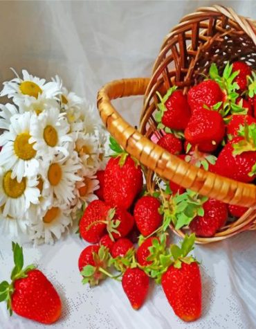 Daisy Flowers and Strawberries Paint By Numbers