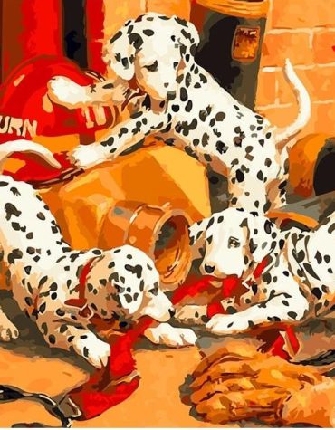 Dalmatian Dog Lover Paint By Numbers
