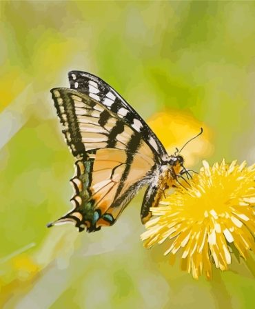 Dandelion and Yellow Butterfly Paint By Numbers
