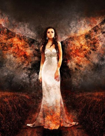 Dark Angel Wings Paint By Numbers