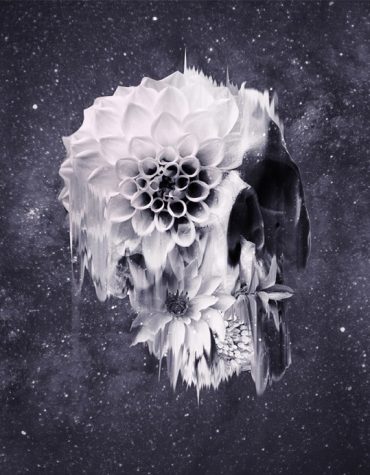 Skull Abstract Black and White Paint By Numbers