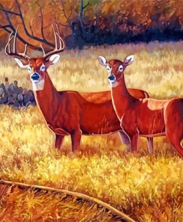 Graceful Deer Couple Paint By Numbers