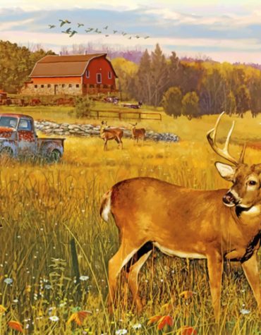 White Tailed Deer in Rural Landscape Paint By Numbers