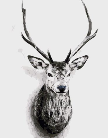 Black and White Deer Paint By Numbers