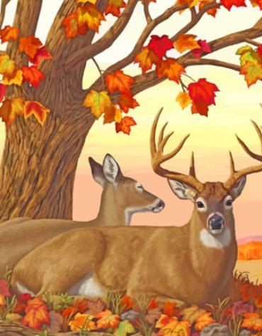 White-Tailed Deer Paint By Numbers