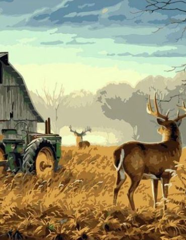 Countryside Deer Paint By Numbers