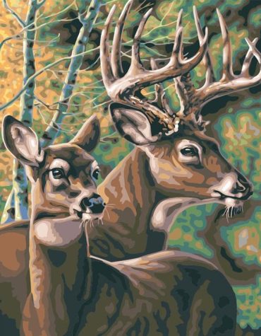 Deer Couple Antler Paint By Numbers