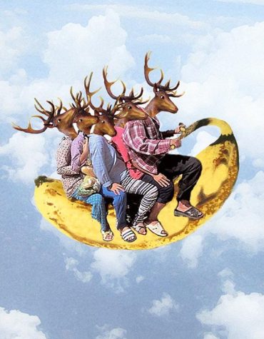 Banana Antler Deer Paint By Numbers