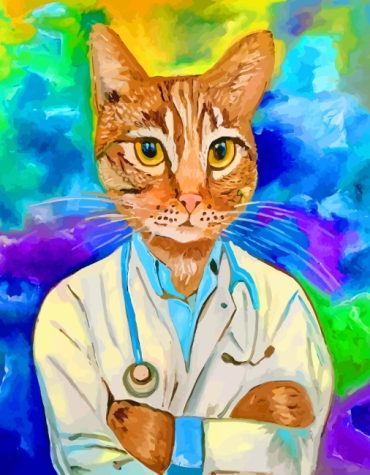 Doctor Cat and Friends Paint By Numbers