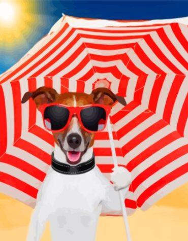 Stylish Dog with Sunglasses Paint By Numbers