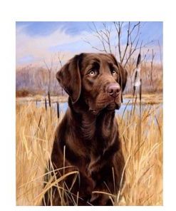 Dog in Green Landscape Paint By Numbers