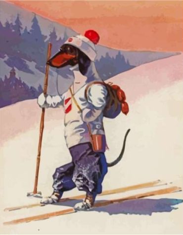 Dog Skiing Fun Paint By Numbers