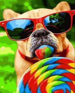 Colorful Dog Lollipop Paint By Numbers