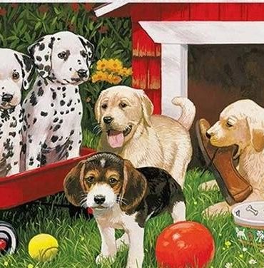 Garden Dogs Paint By Numbers